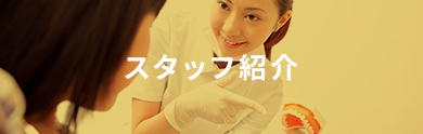 スタッフ紹介